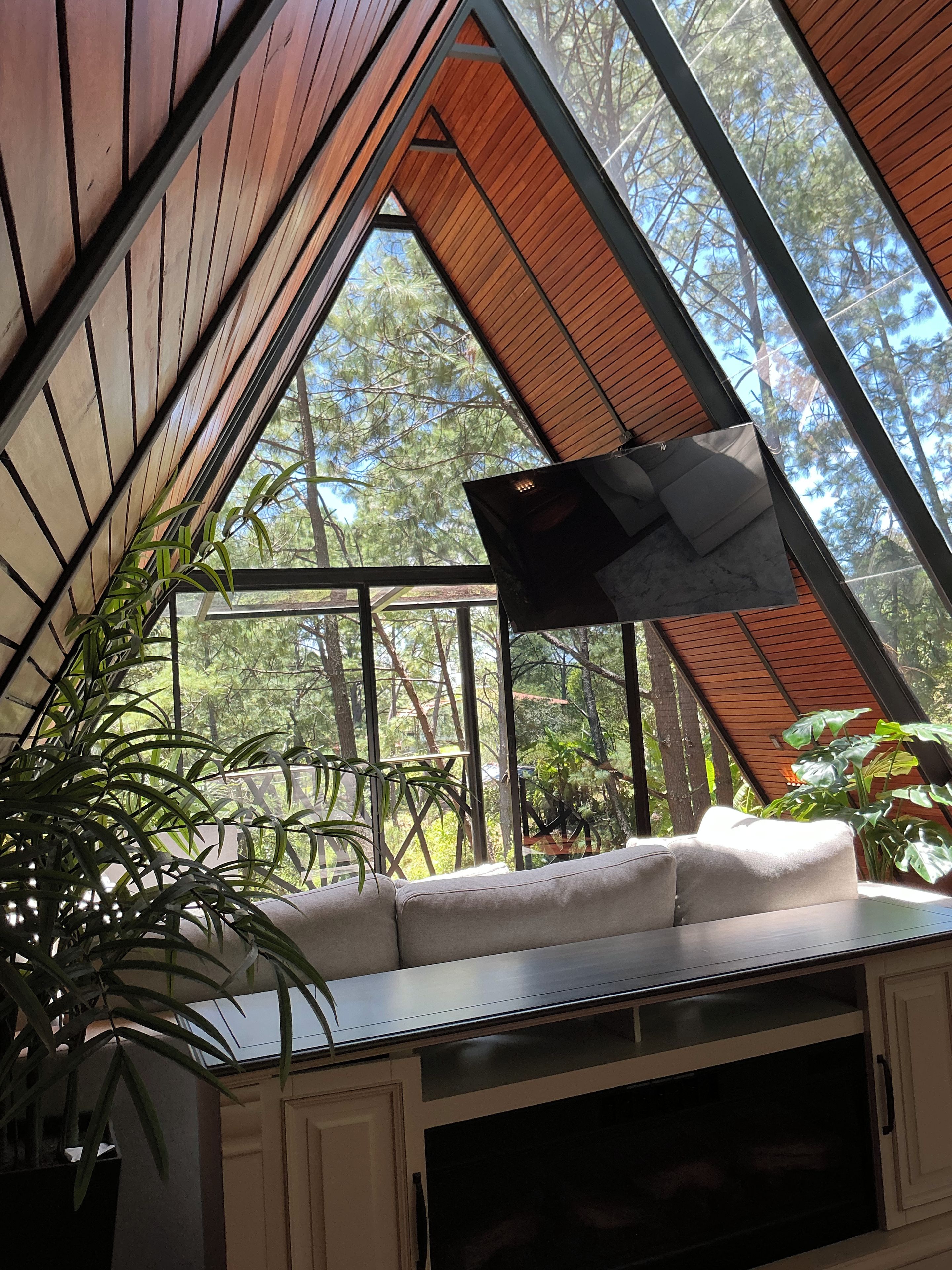 A room with a sloped ceiling, a sofa, a TV, and a view of trees through large windows.