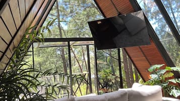 A room with a sloped ceiling, a sofa, a TV, and a view of trees through large windows.