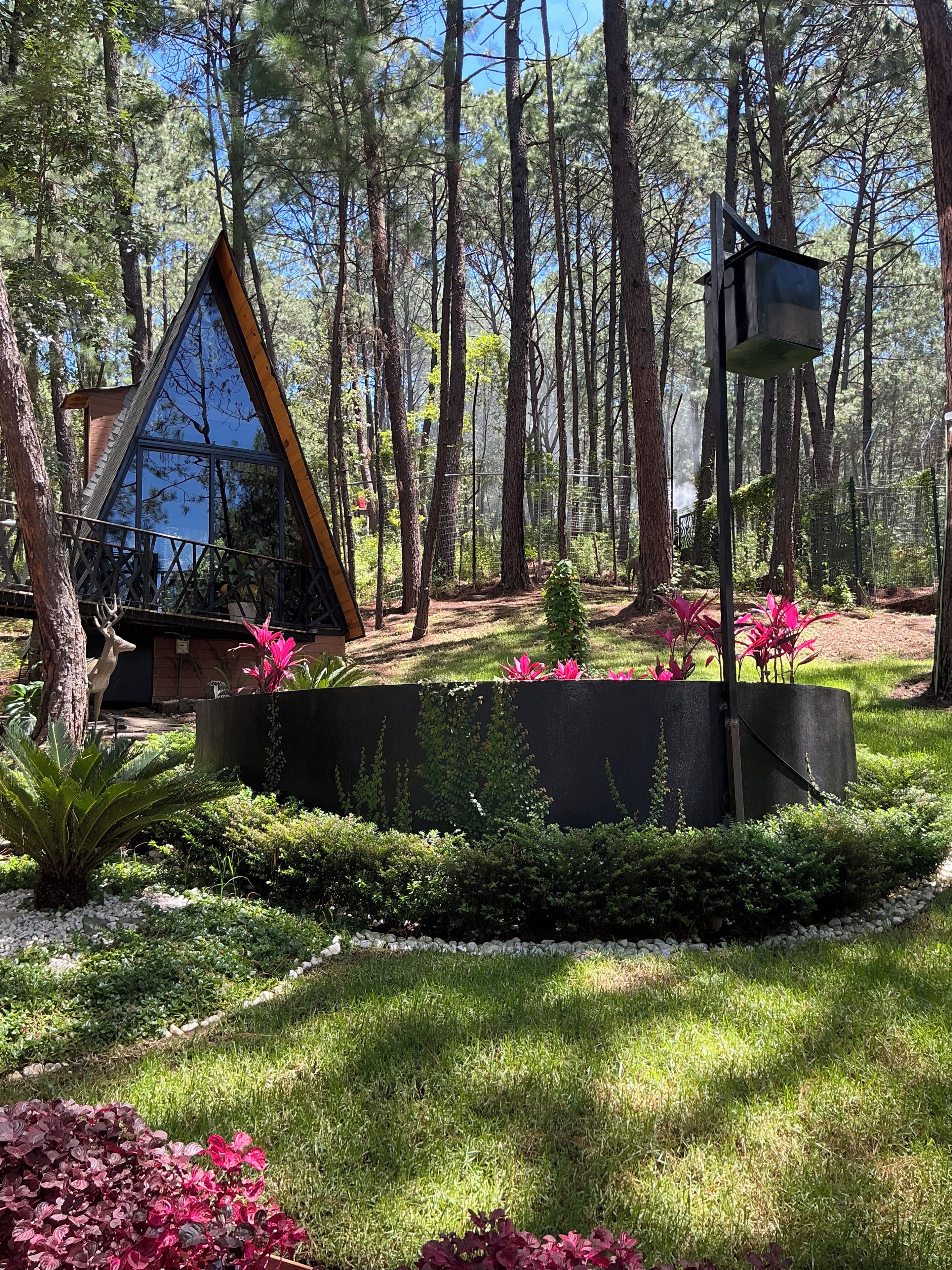 Un área boscosa con una estructura de vidrio triangular, una cerca de metal y una maceta con plantas verdes.