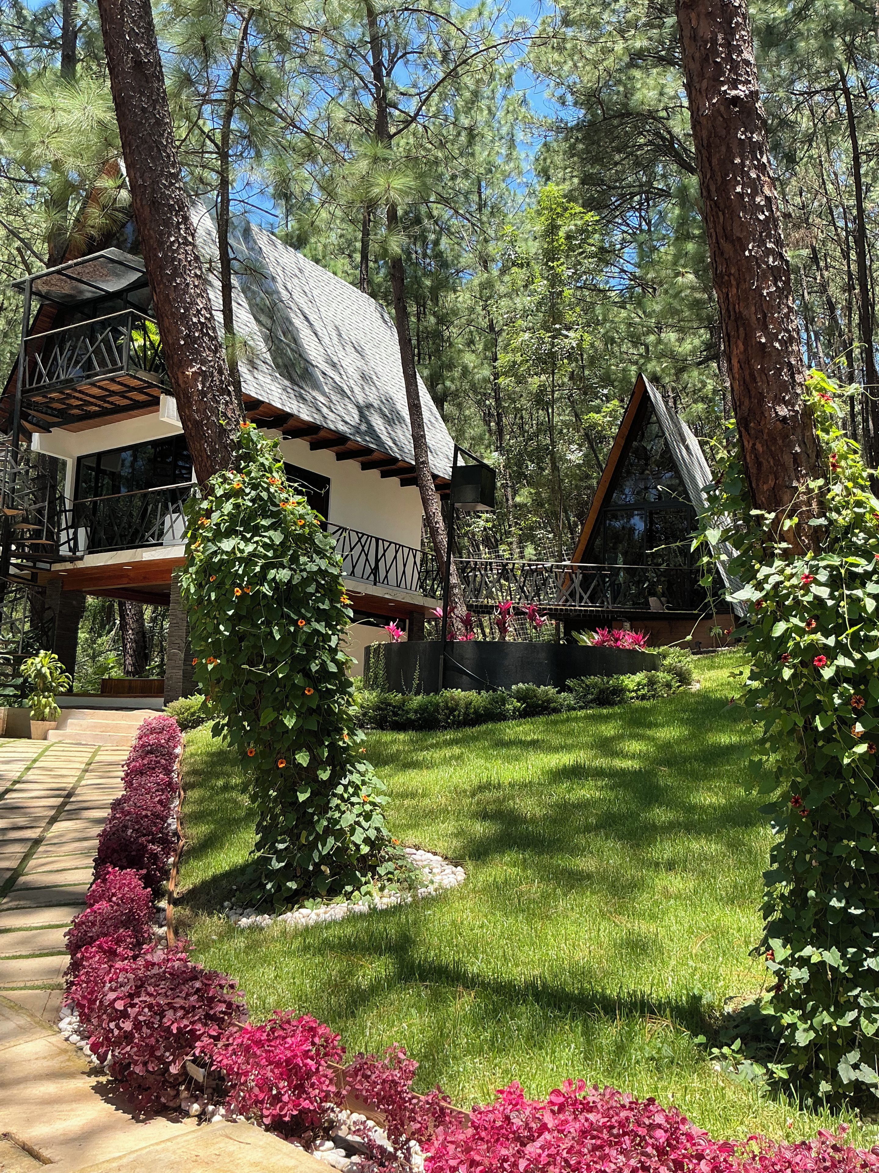 Une cabane dotée d’un toit en pente, entourée d’un jardin bien entretenu où poussent diverses plantes, et accessible par un sentier en pierre.