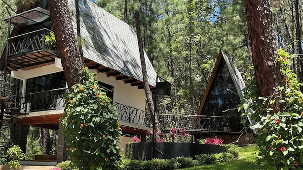 Une cabane dotée d’un toit en pente, entourée d’un jardin bien entretenu où poussent diverses plantes, et accessible par un sentier en pierre.