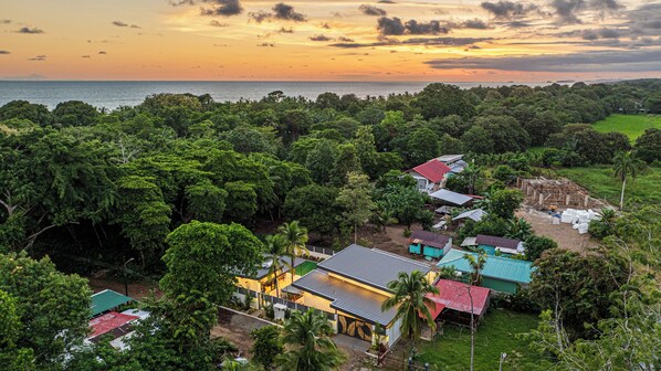 A residential area with houses surrounded by dense greenery and a view of the sea at sunset.