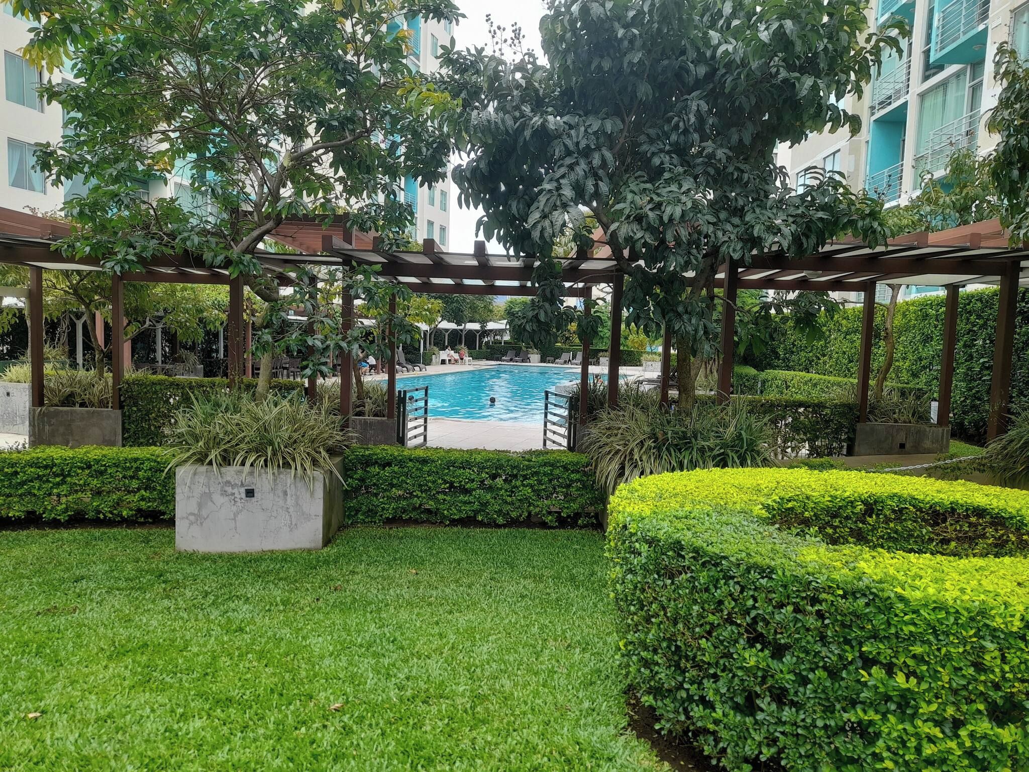 A pool area with a pergola, well-maintained grass, and hedges.