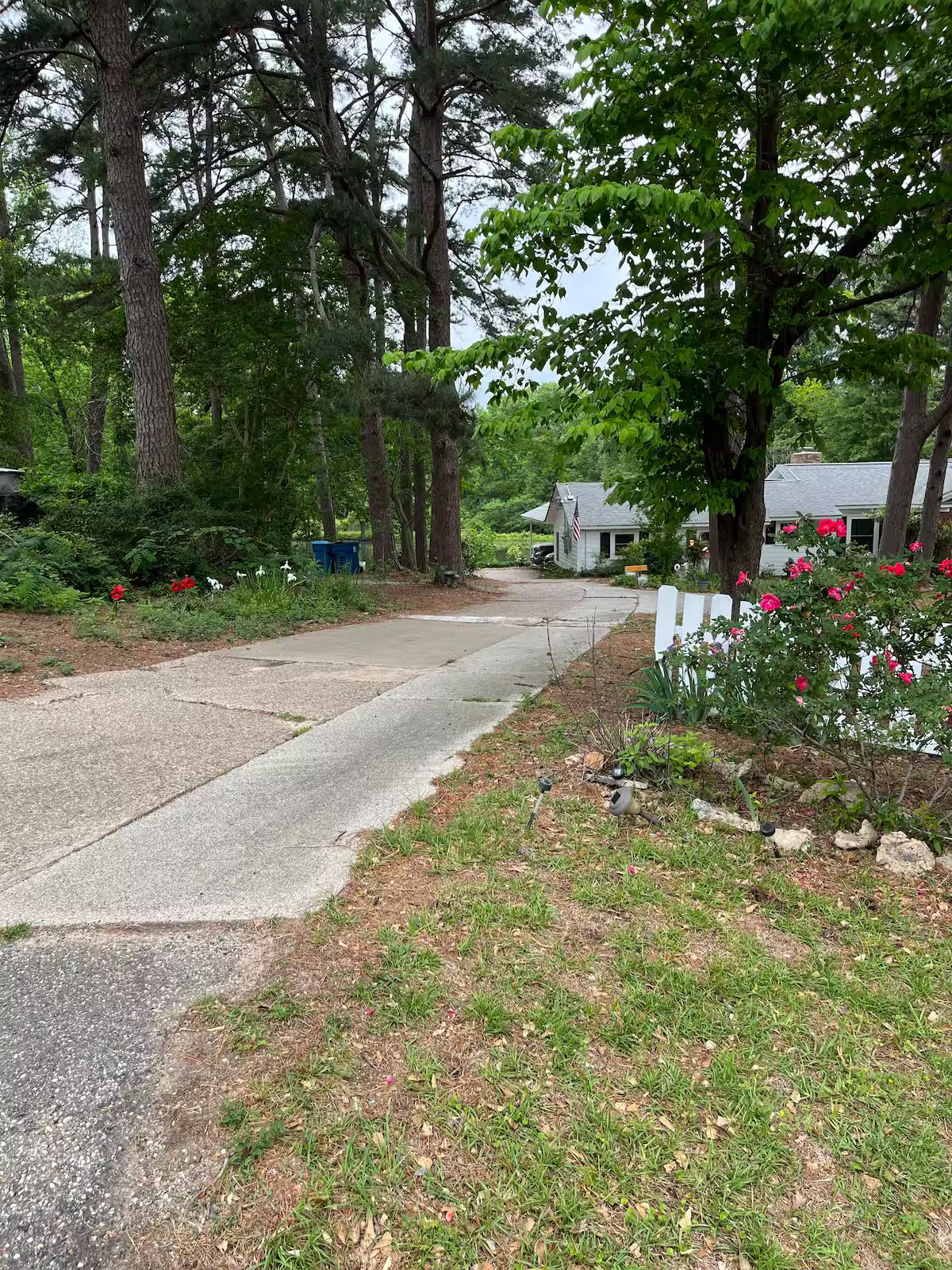 A residential street with a sidewalk, a house with a flag, and a garden with flowers.