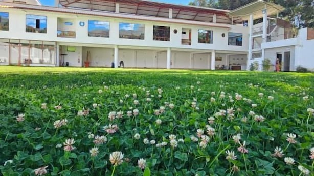 A building with a flat roof and multiple windows, surrounded by a well-maintained lawn with clover plants. - Hotel Catañuñi  (Huancayo)