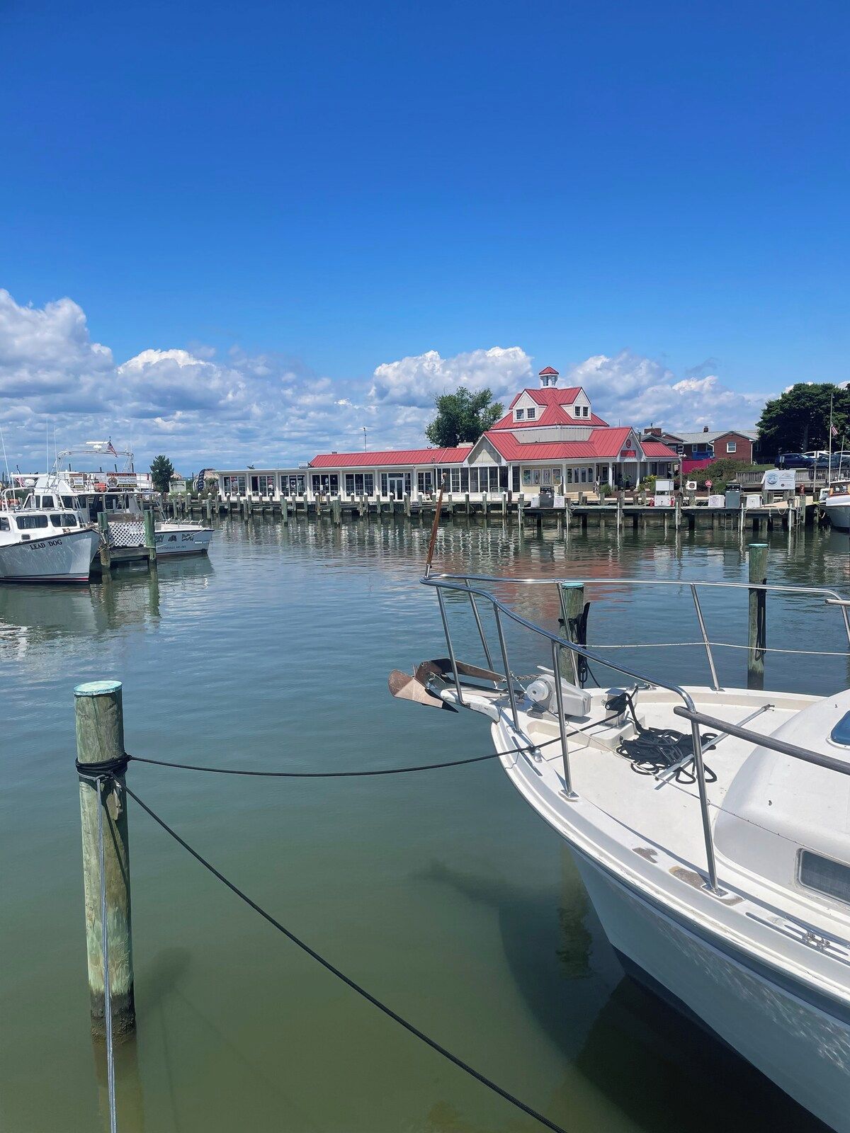 A marina with boats docked, a building with a red roof, and a clear sky.