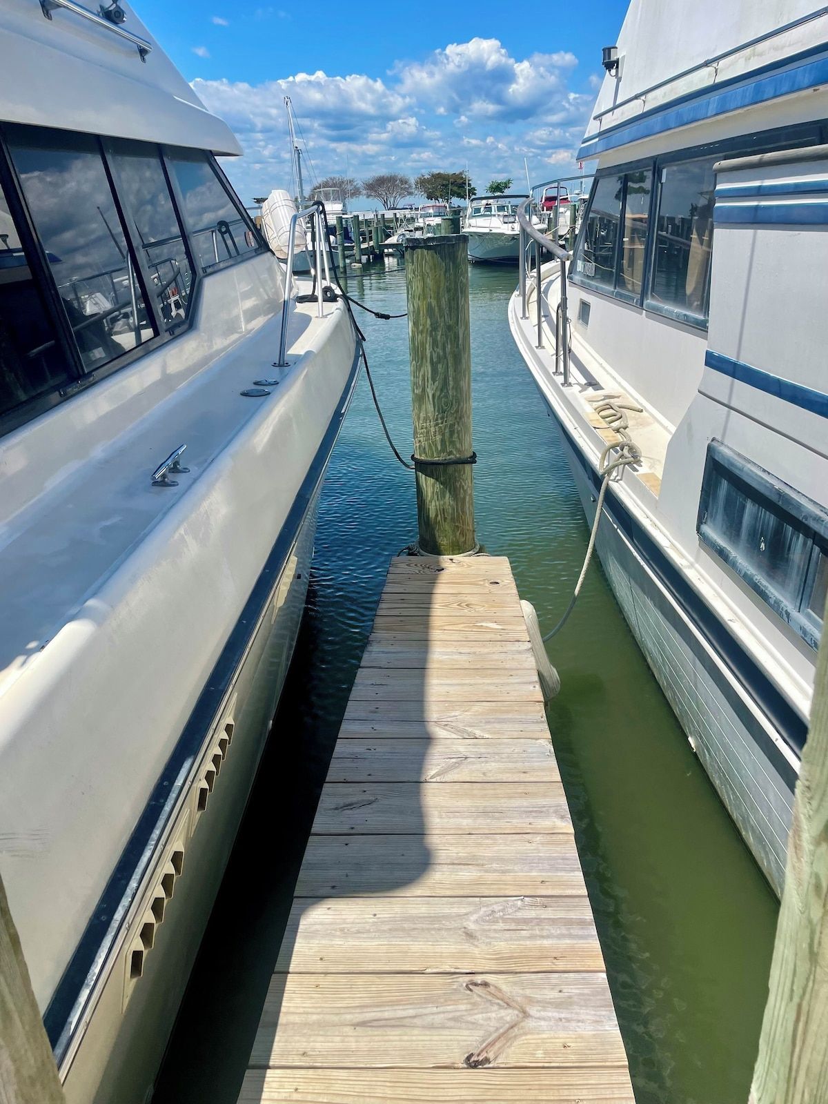 A wooden dock leading to a marina with boats moored alongside.