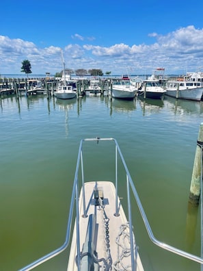 A marina with boats docked at wooden piers, calm water, and a clear sky.