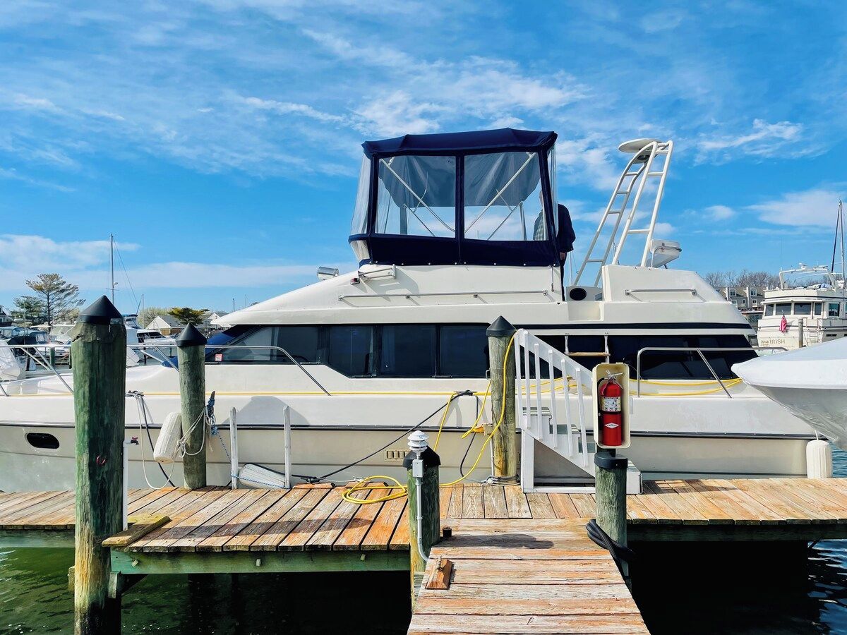 Un yacht était amarré dans une marina, près d’un quai en bois, d’une bouée de sauvetage et d’une échelle.