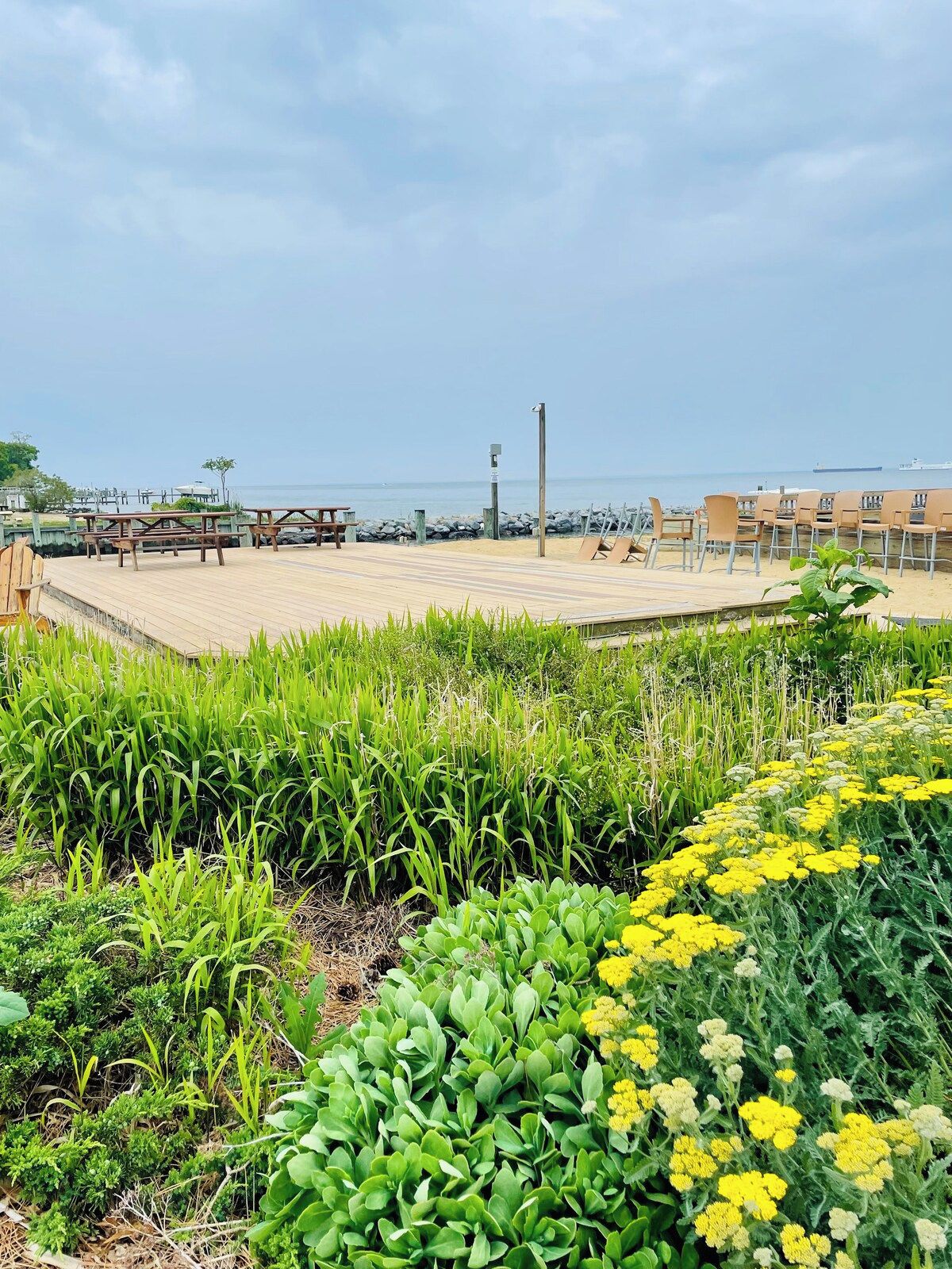 A beachside area with picnic tables and chairs, a wooden deck, and a variety of green plants and yellow flowers.