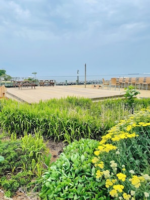 A beachside area with picnic tables and chairs, a wooden deck, and a variety of green plants and yellow flowers.