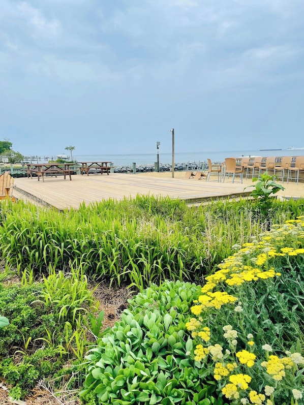 Zona junto a la playa con mesas y sillas de picnic, una terraza de madera y diversas plantas verdes y flores amarillas.