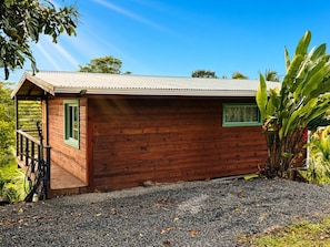 A wooden cabin with a metal roof, a green door, and a small window.