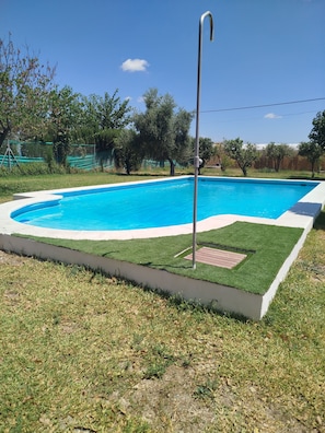 Une piscine rectangulaire entourée d’une pelouse et agrémentée d’un poteau en métal.