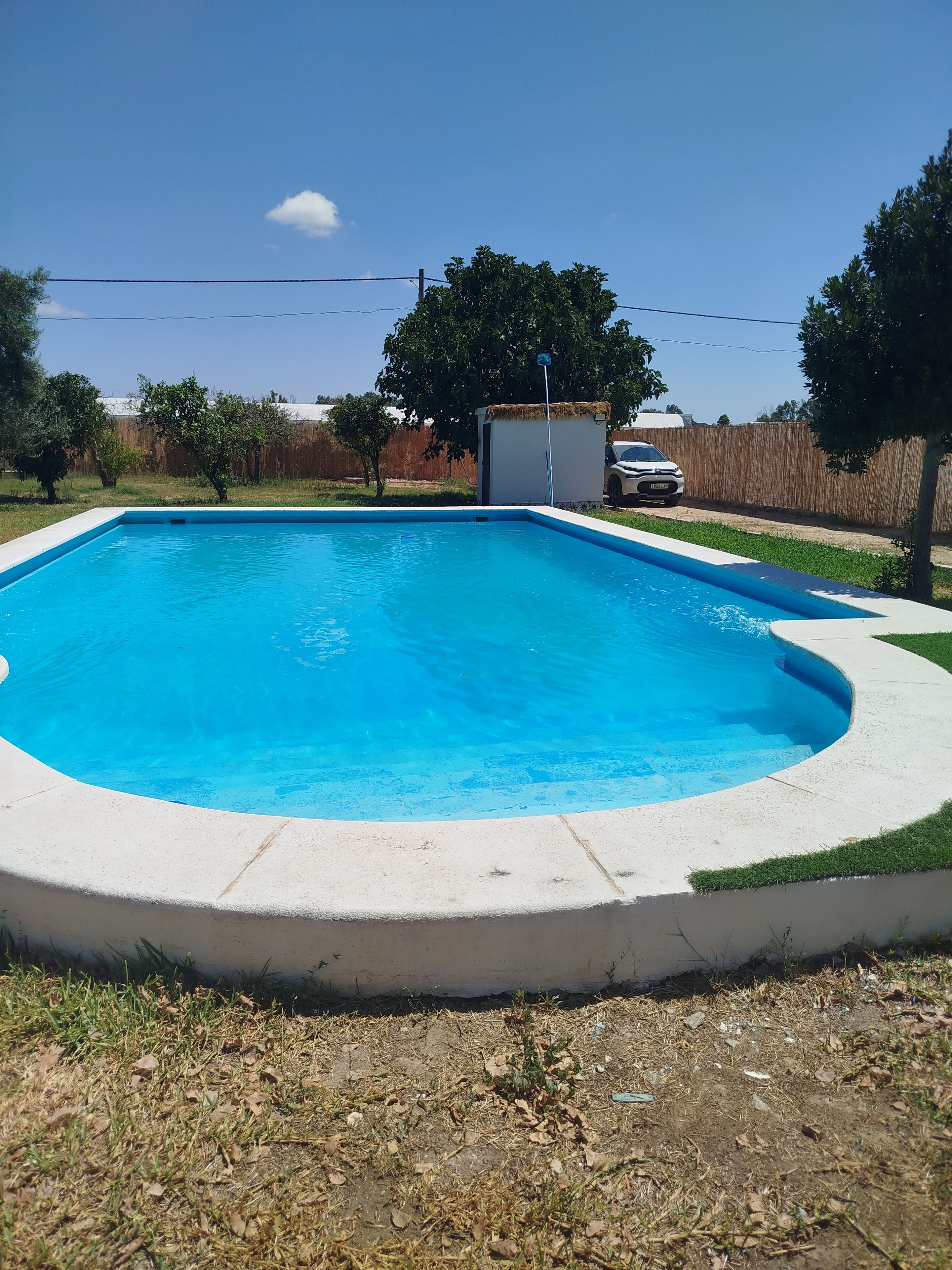 Une piscine rectangulaire bordée de blanc, entourée d’une pelouse et d’une clôture en bois.
