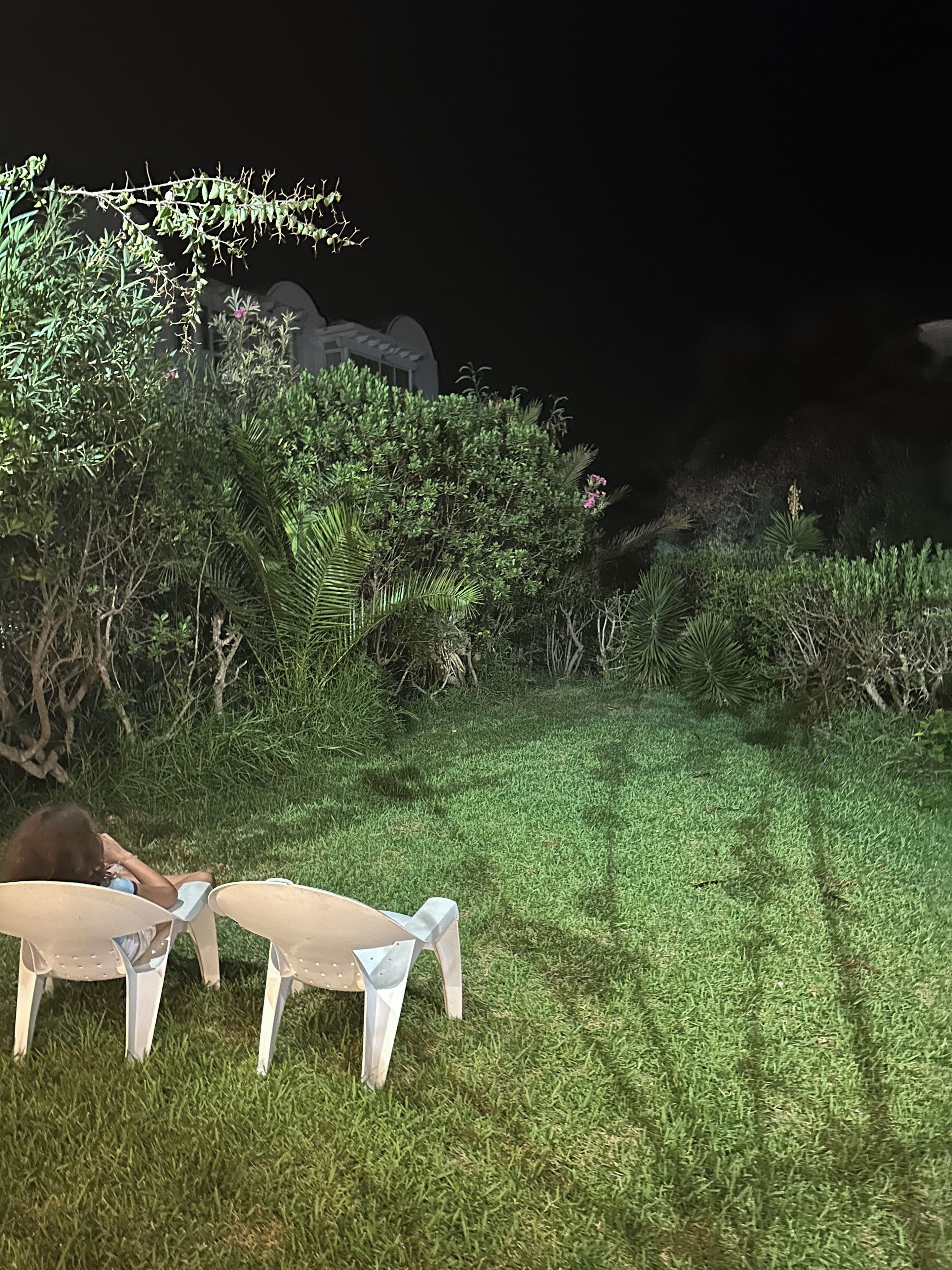 Un espace extérieur aménagé pour la nuit, avec une pelouse verdoyante, une personne assise sur une chaise, ainsi que diverses plantes et arbustes.