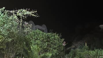 A nighttime outdoor area with a grassy lawn, a person sitting on a chair, and various plants and shrubs.