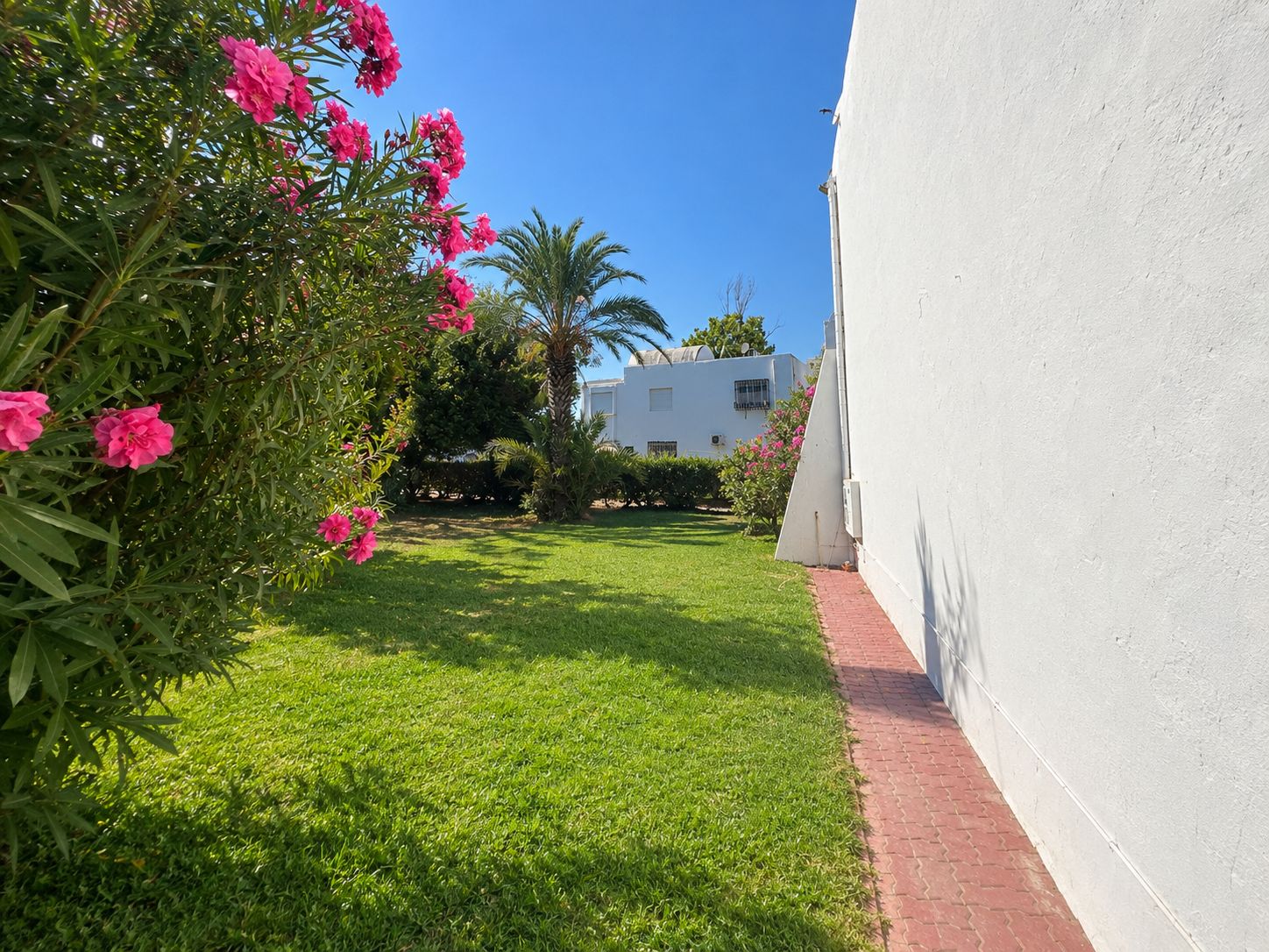 Un jardin bien entretenu, avec un bâtiment blanc en arrière-plan.