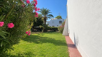 A well-maintained garden with a white building in the background.