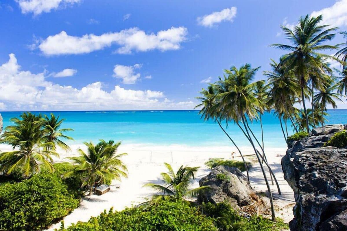 A beach with white sand, clear blue water, and palm trees.