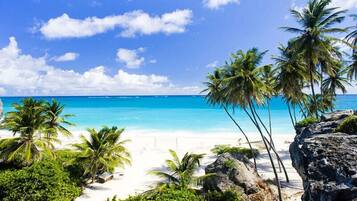 A beach with white sand, clear blue water, and palm trees.