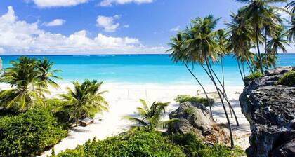 Tropical Apartment With Private Patio, Walk to Beaches, Shops and Cafes
