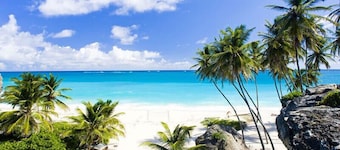 Tropical Apartment With Private Patio, Walk to Beaches, Shops and Cafes