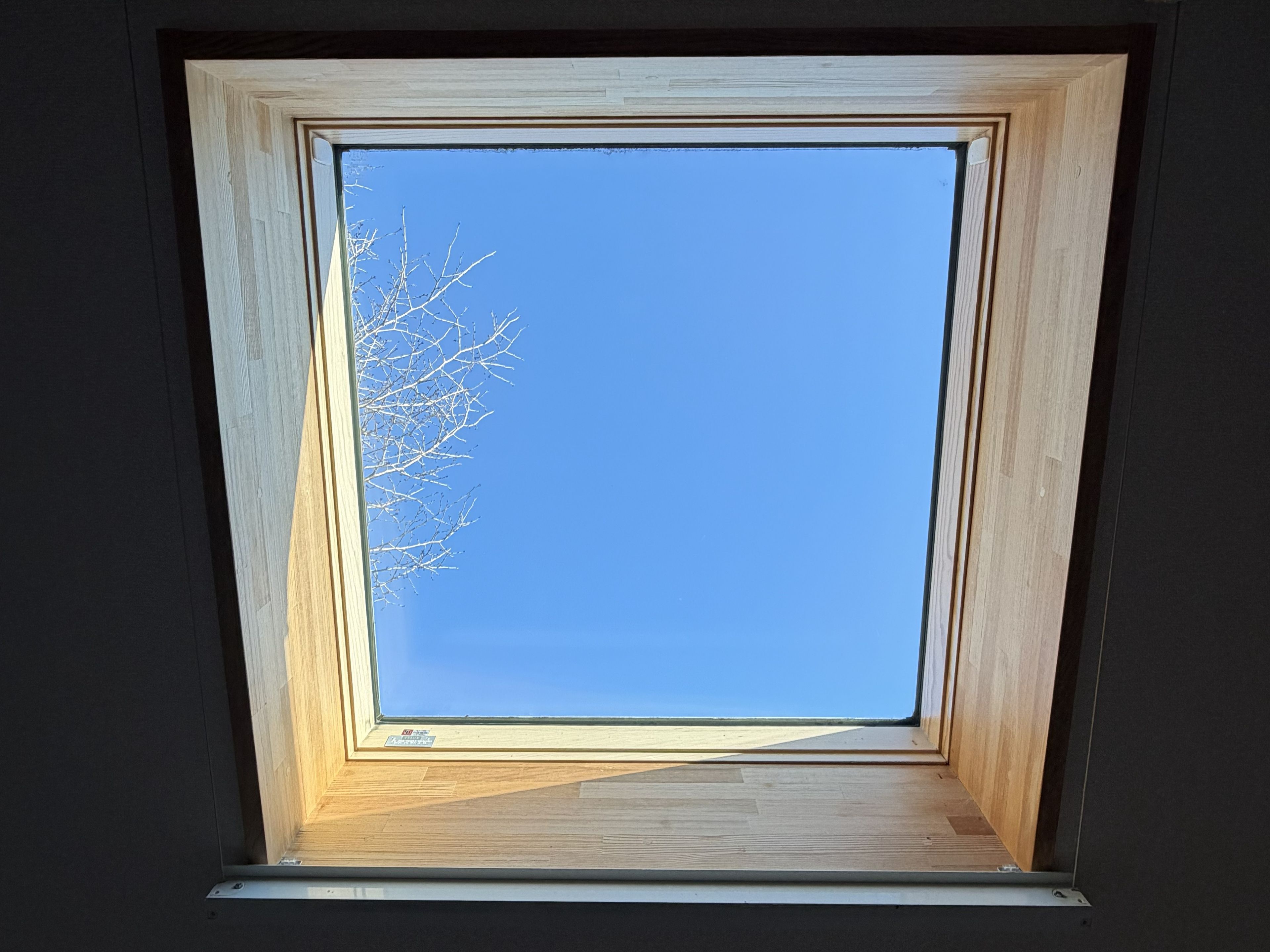A skylight with a clear view of a leafless tree against a blue sky.
