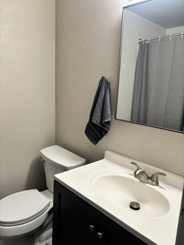 A bathroom with a toilet, sink, and mirror.