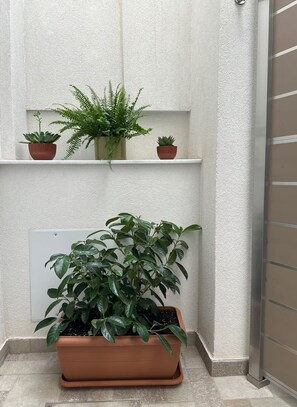 Eine Topfpflanze in einem Terrakotta-Topf auf einem Kachelboden, eine weiße Wand mit strukturierter Oberfläche und eine Metalttür mit horizontalen Feldern.