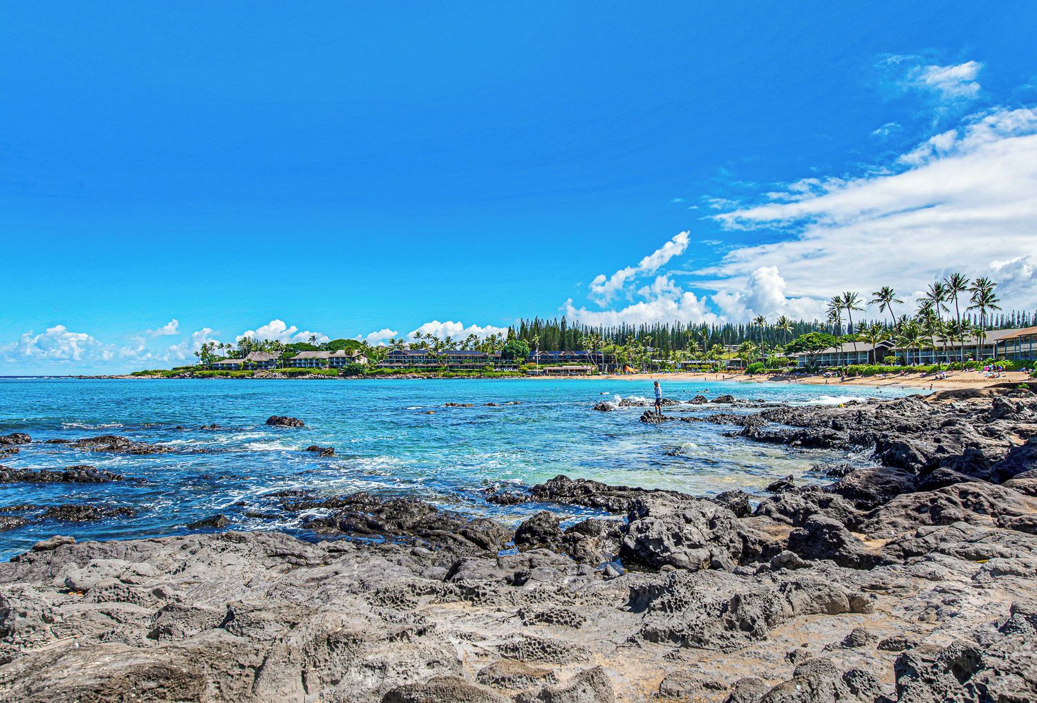 A coastal resort with a rocky shoreline, clear blue waters, and a backdrop of palm trees and a hotel complex.