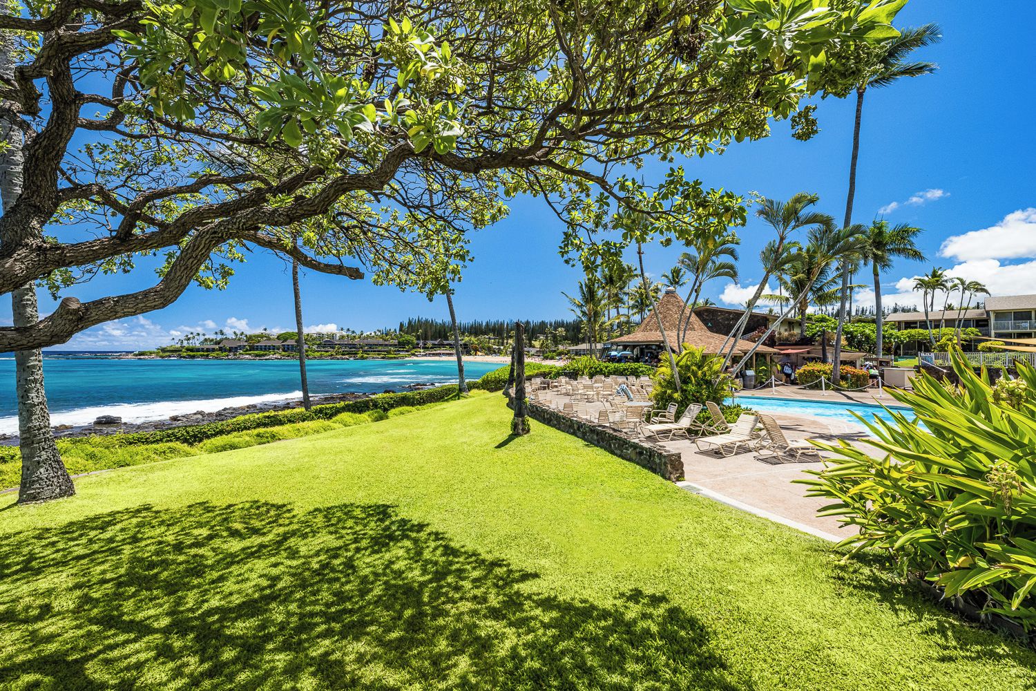 A resort with a swimming pool, lush green lawn, and a view of the ocean.