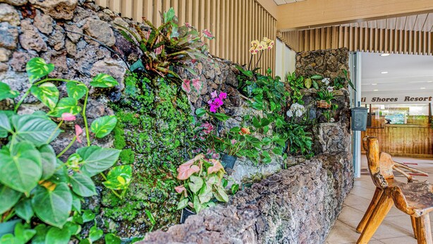 Unclassified image, 1 of 70, button - Charming condo steps to fantastic Napili Bay with cool AC breeze (Lahaina)