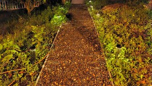 Ein Weg führt zu einem Gebäude, an dessen Seite ein Holzzaun und auf der anderen Seite ein Garten zu sehen sind.