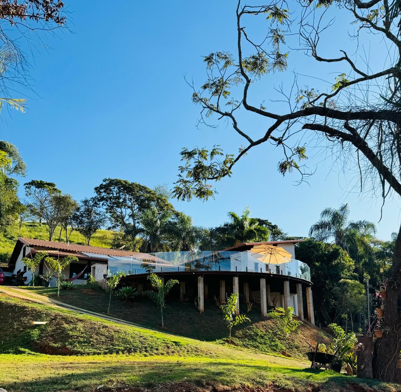 A modern building with a curved roof, surrounded by lush greenery and trees.
