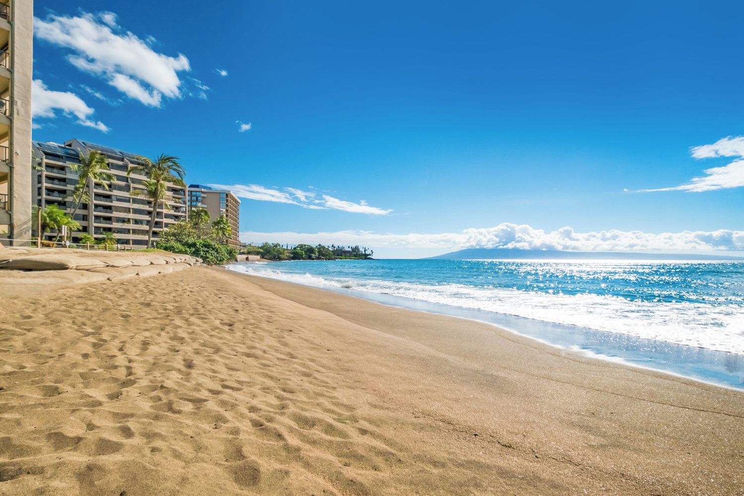 Une plage avec un bâtiment d’hôtel, des palmiers et un ciel dégagé.