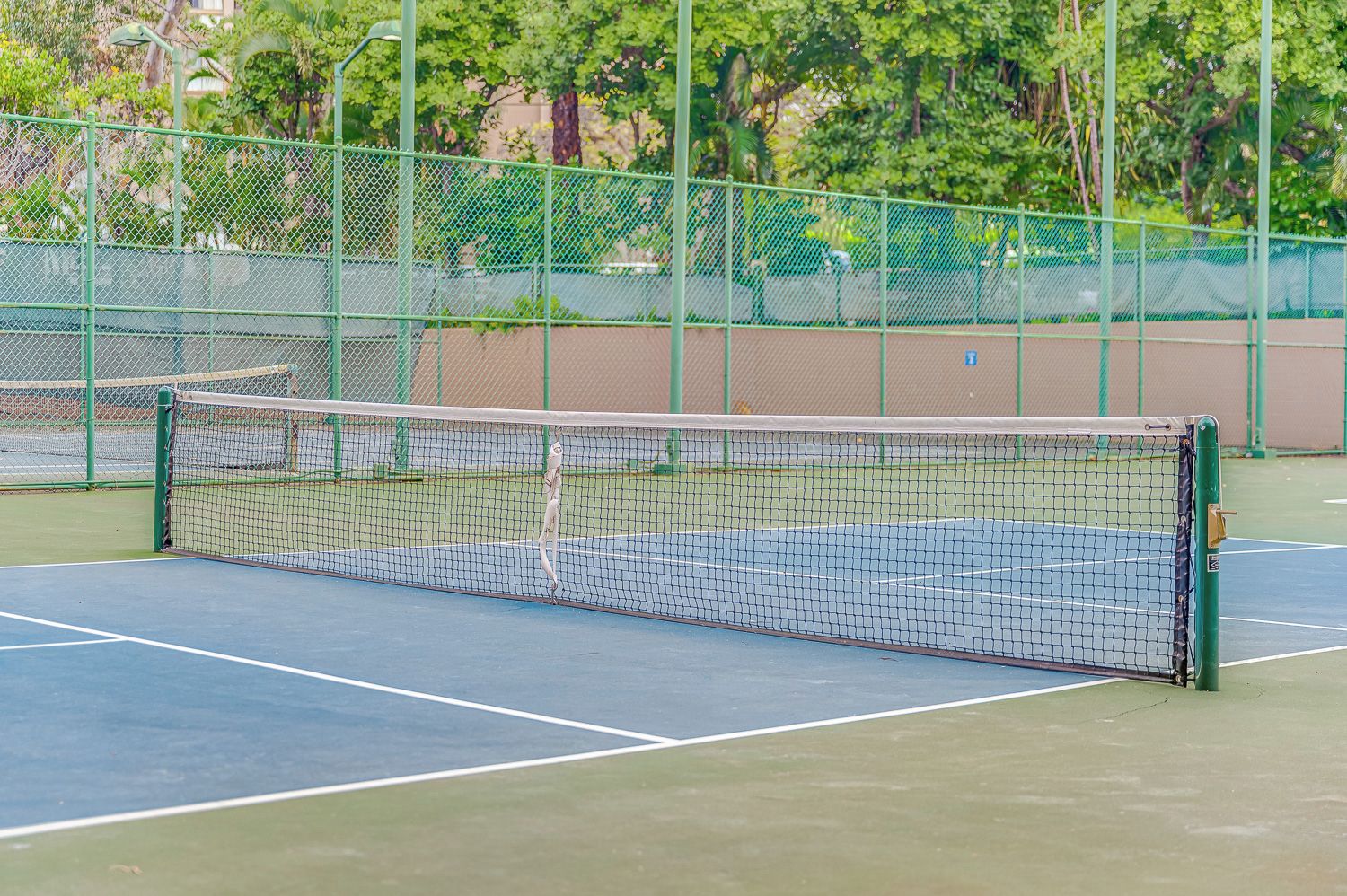 Un court de tennis avec un filet, entouré d’une clôture verte et d’arbres.