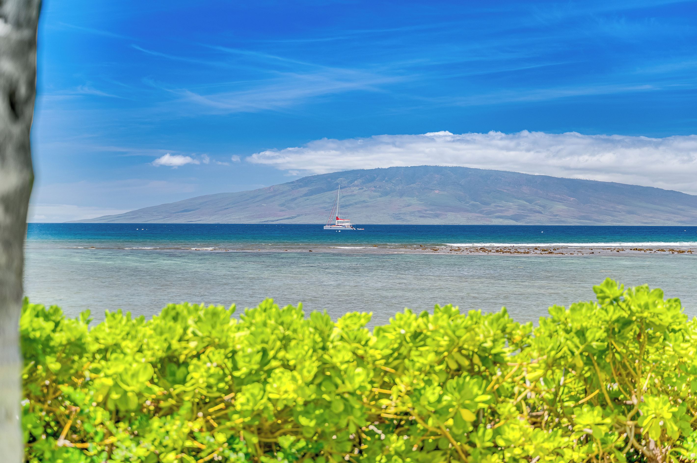Eine Küstenlandschaft mit einem Segelboot auf dem Wasser, einem Berg im Hintergrund und grüner Vegetation im Vordergrund.