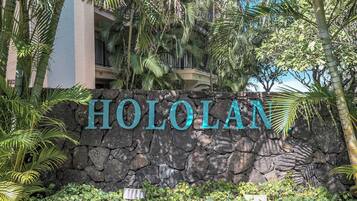 A stone wall with the word 'HOLOLAN' in large letters, surrounded by tropical foliage.