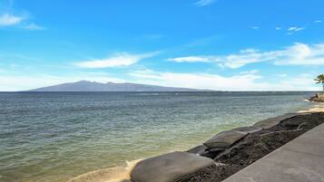 A coastal view with a clear sky, a rocky shoreline, and a distant mountain range.
