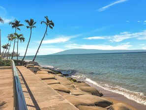 Un paseo marítimo con palmeras, vista al océano y una montaña distante.