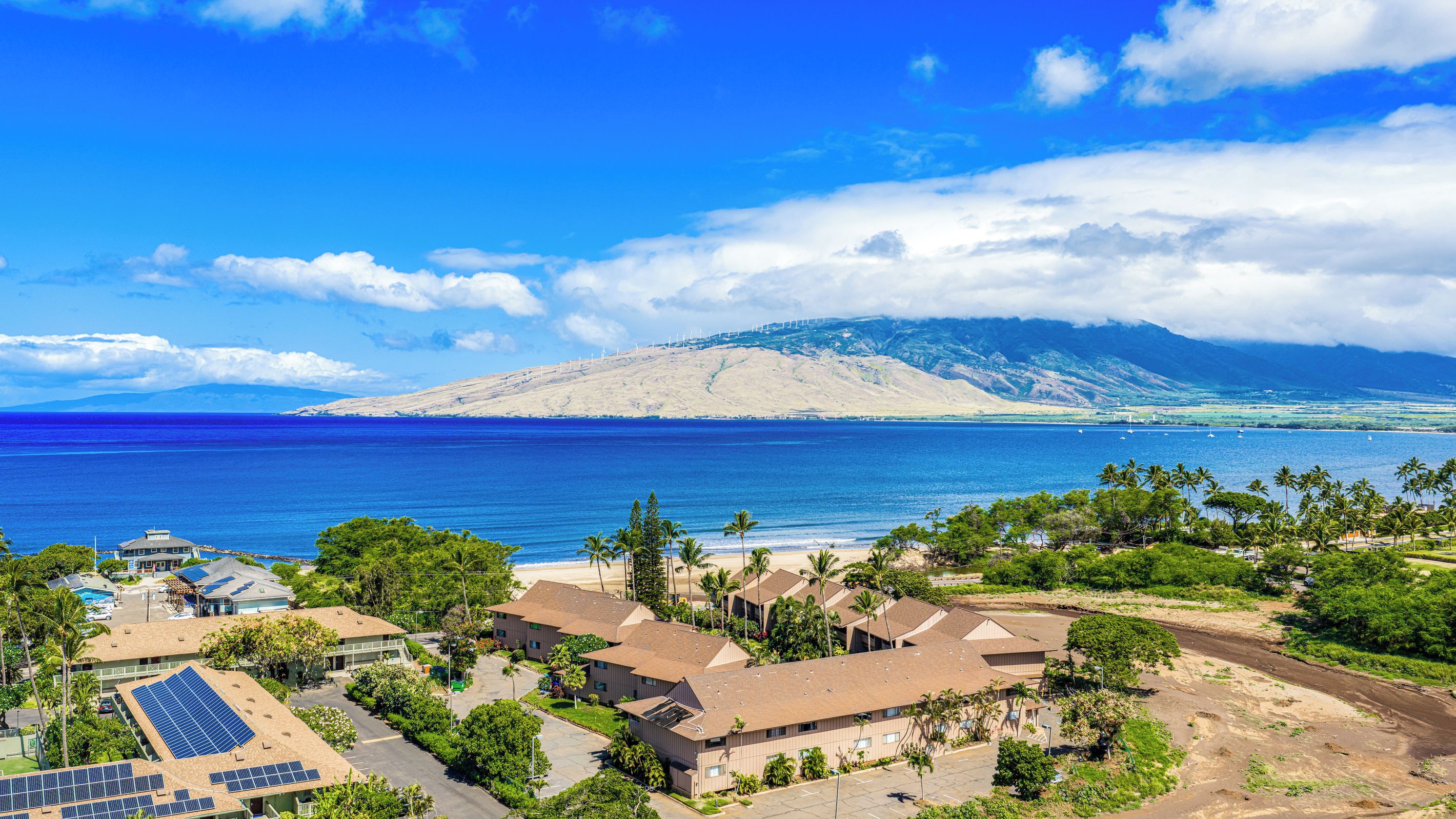 A coastal residential area with houses, solar panels, and a view of the ocean and mountains.