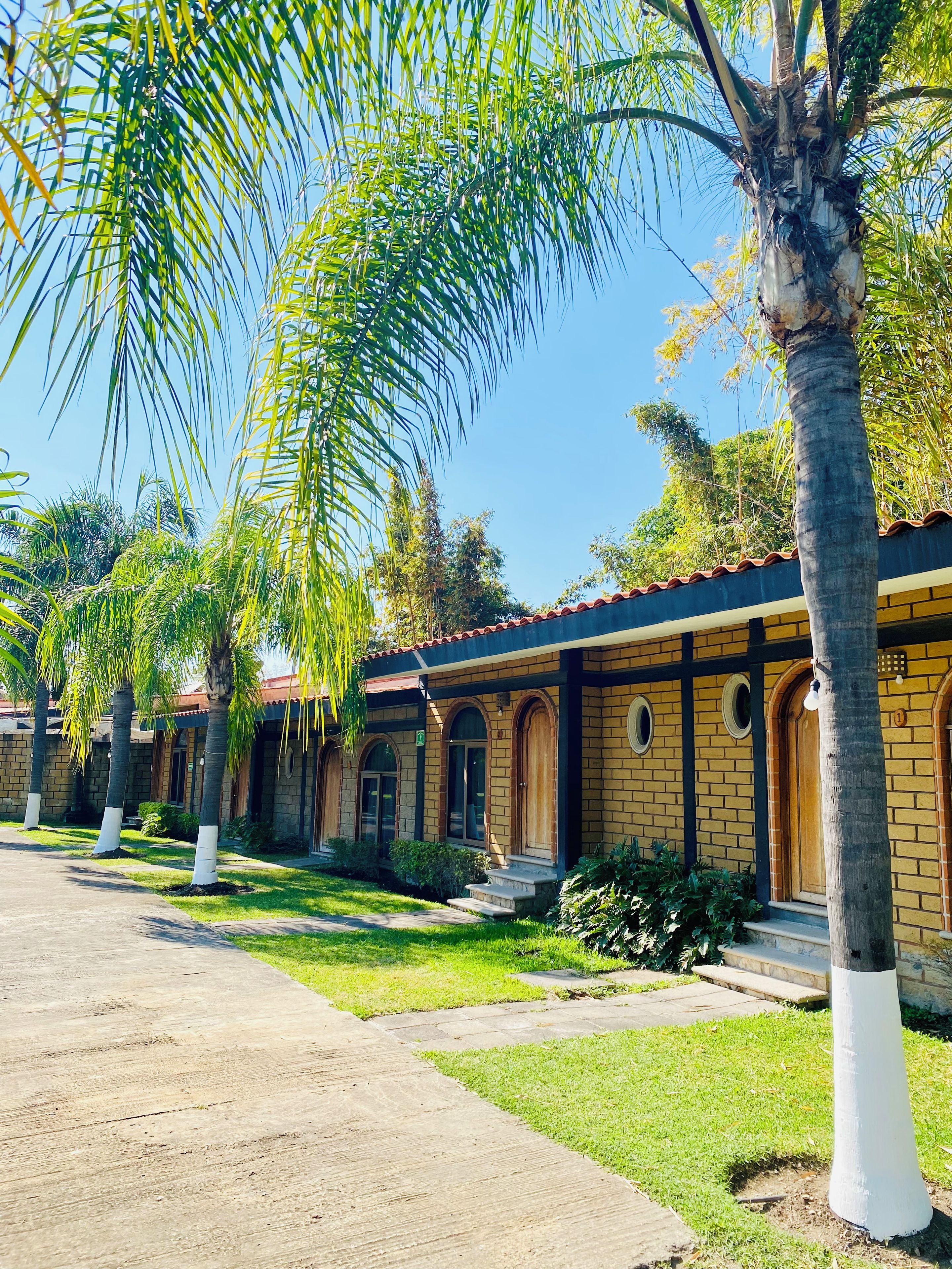 A row of single-story buildings with brick facades and arched windows, surrounded by well-maintained lawns and palm trees.
