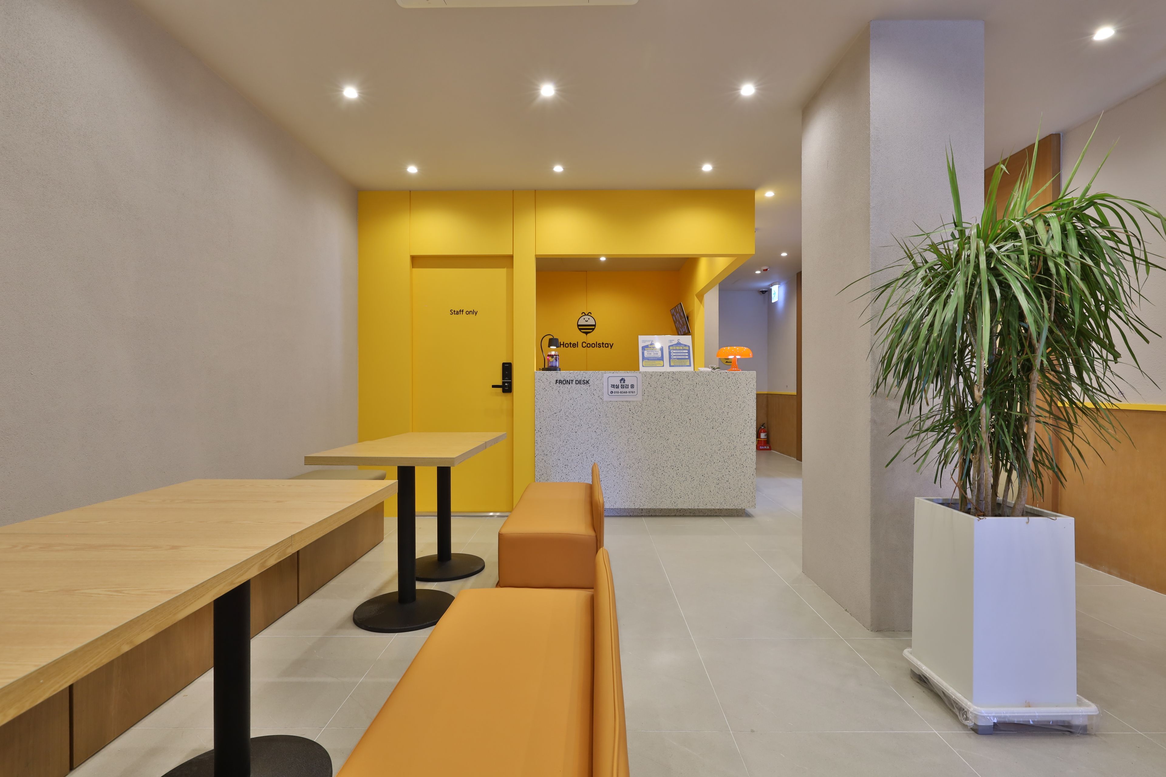 Zona de recepción de hotel con mostrador, un área de estar con banca y una planta en maceta.