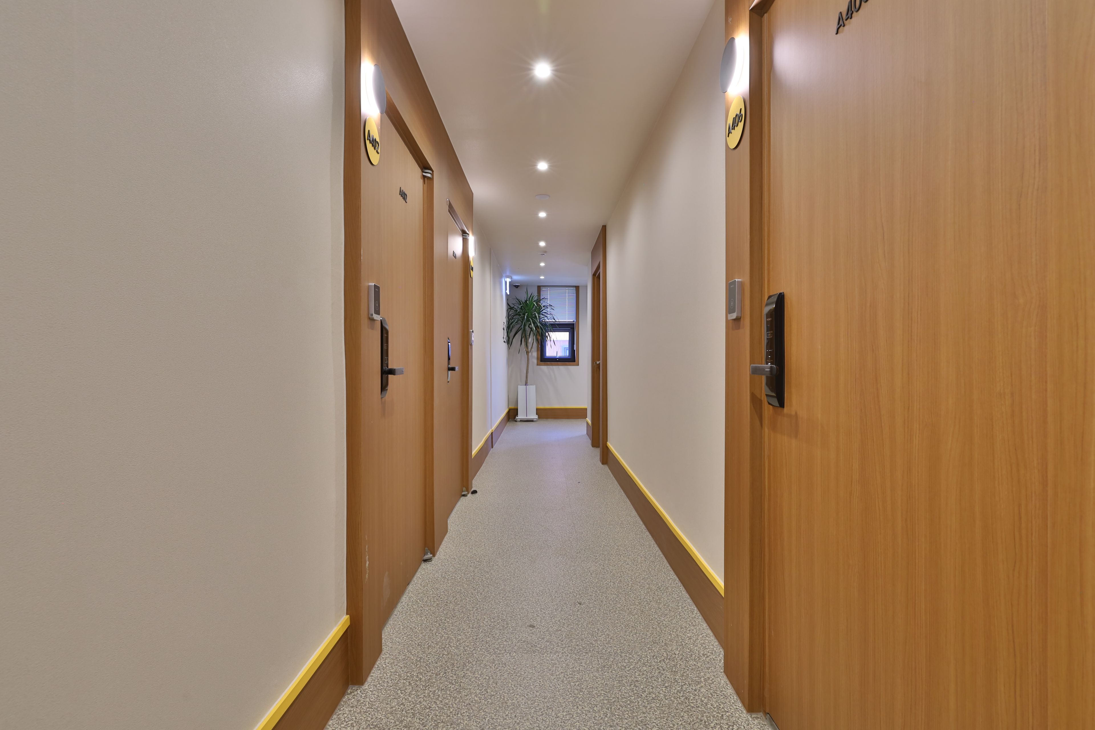 A hotel hallway with wooden doors, a carpeted floor, and a plant in the distance.