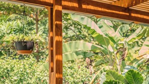 A wooden pergola with a hanging planter and a hammock. - Lapas · Jungle House for 4 + Pool +AC · Walk to Beach · Cabuya (Cabuya)