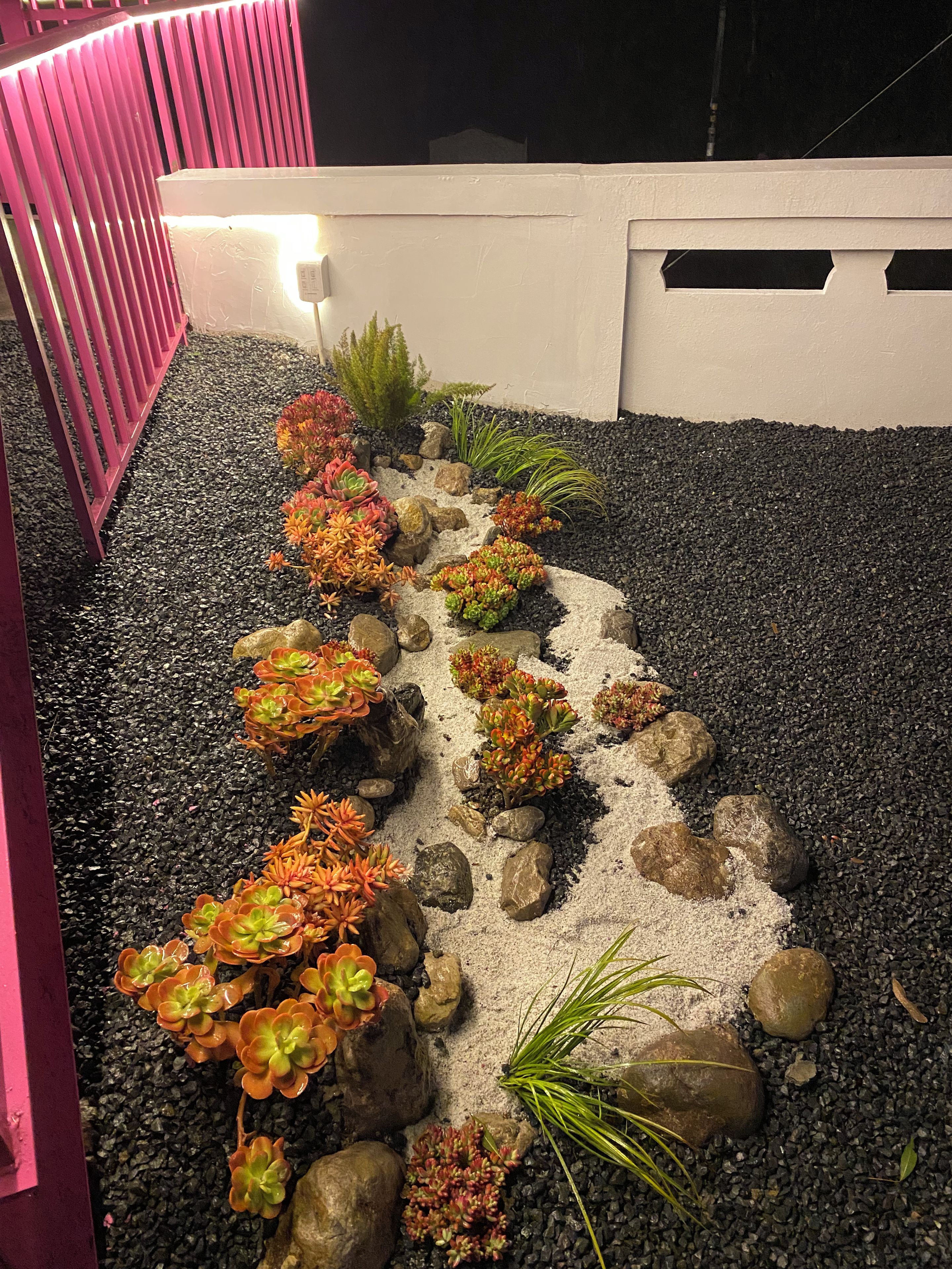 Un jardín con diversos suculentos y plantas dispuestos en un patrón lineal a lo largo de un sendero de grava, bordeado por rocas y un muro blanco.