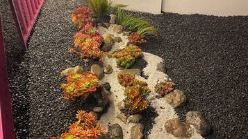 Un jardín con diversos suculentos y plantas dispuestos en un patrón lineal a lo largo de un sendero de grava, bordeado por rocas y un muro blanco.