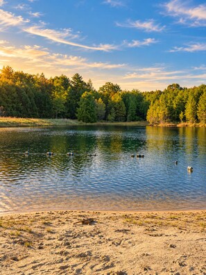 Ein See mit ruhigem Wasser, umgeben von dichtem Wald und einem Sandstrand.