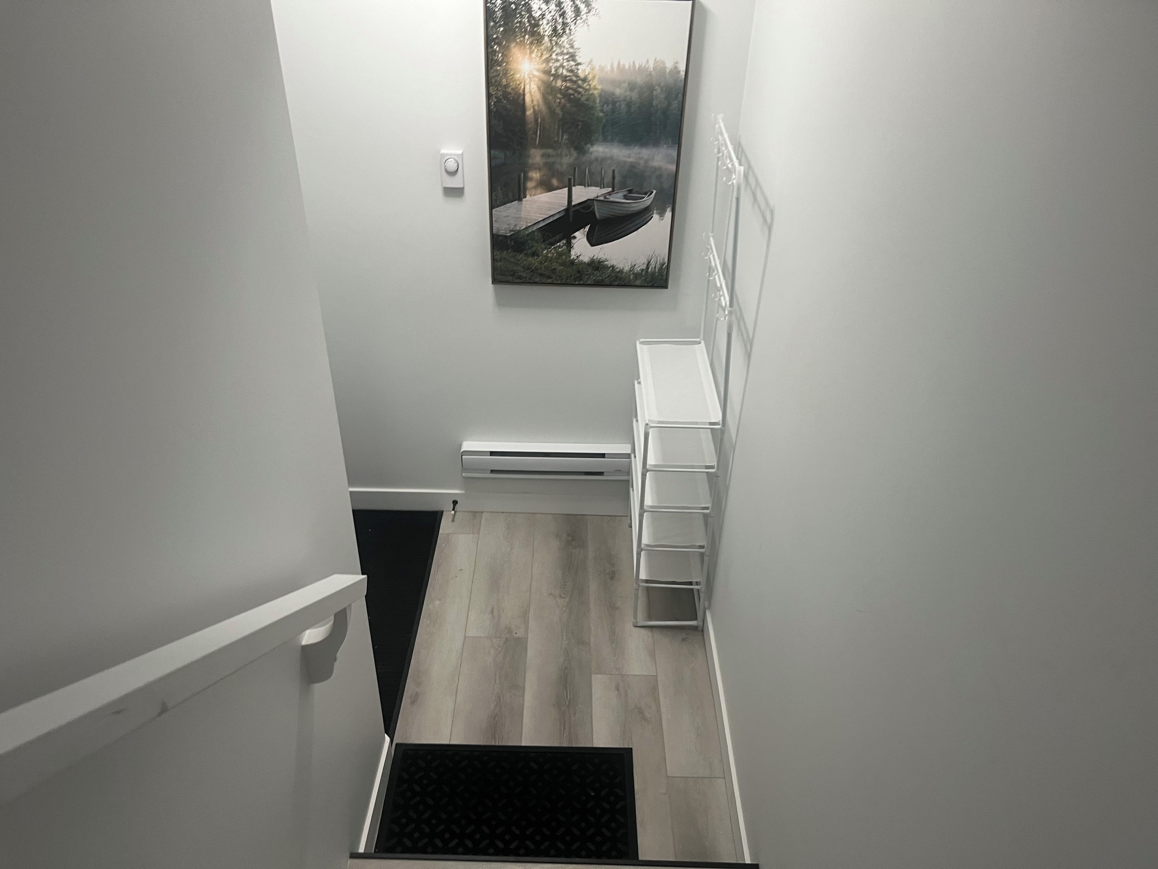 Un couloir étroit avec un plancher en bois, un paillasson noir à l’entrée, un radiateur blanc et un tableau représentant un paysage lacustre accroché au mur.